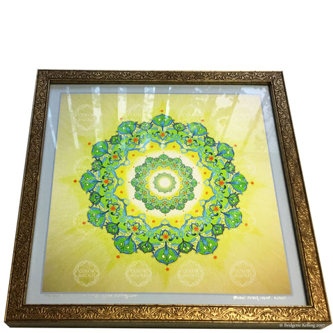 Framed green & yellow mandala with 23 kt gold gilding, #1 of 500, "Forever Radiant Star" size 12"x12" - Color & Gold LLC © Bridgette Kelling